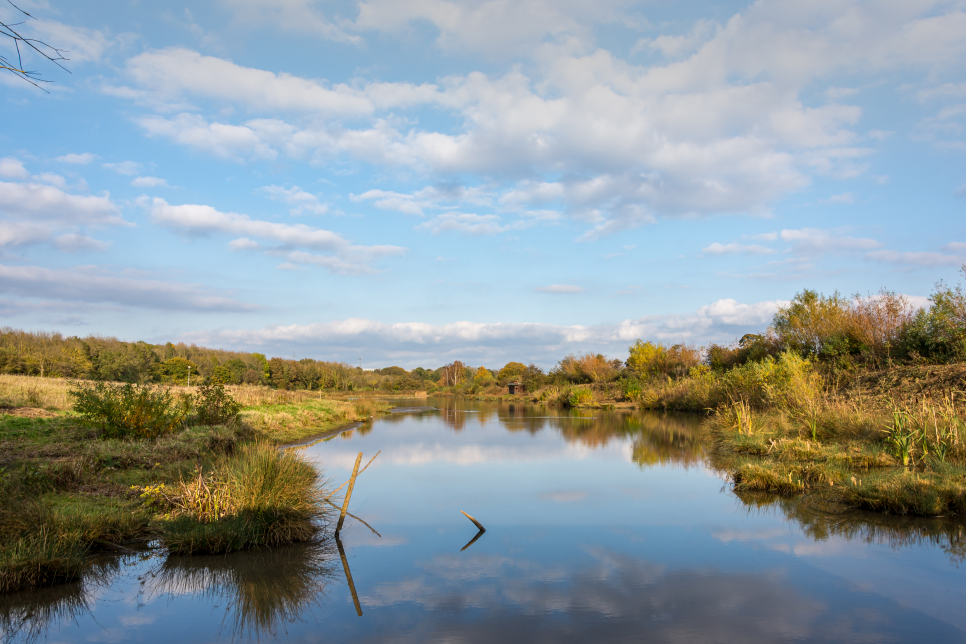 Wader Lake - Ian Henderson.jpg